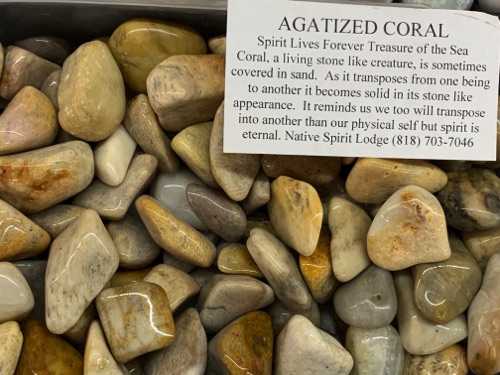 Agatized Coral Agatized Coral